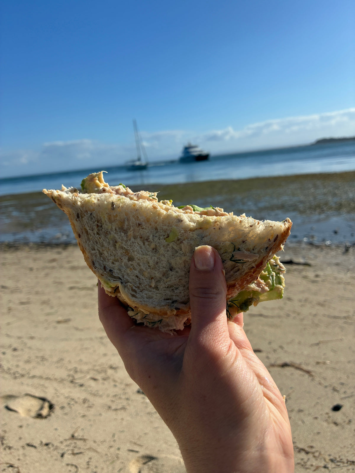 High Tide Tuna Sandwich